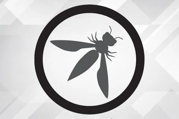 Introduction to OWASP Best Practices